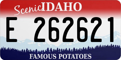 ID license plate E262621