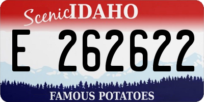 ID license plate E262622