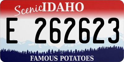 ID license plate E262623