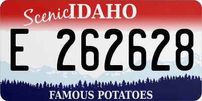ID license plate E262628