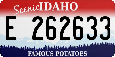 ID license plate E262633