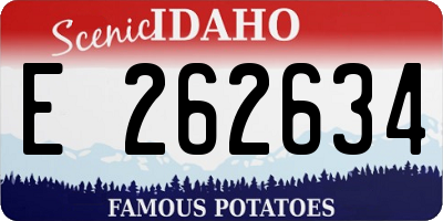 ID license plate E262634