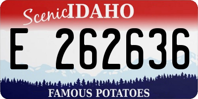 ID license plate E262636