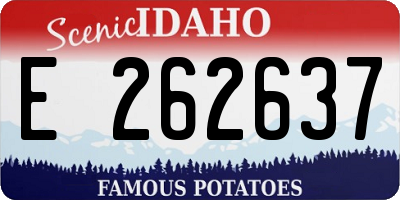 ID license plate E262637