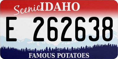 ID license plate E262638