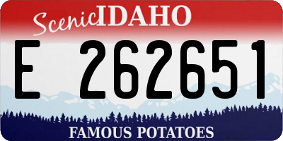 ID license plate E262651