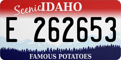 ID license plate E262653