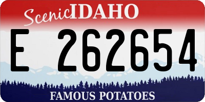 ID license plate E262654