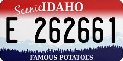 ID license plate E262661