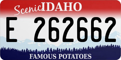 ID license plate E262662