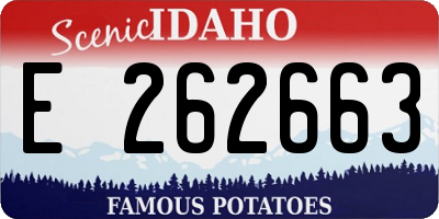 ID license plate E262663