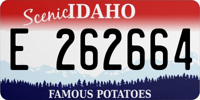 ID license plate E262664