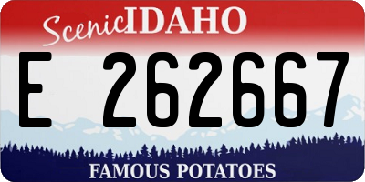 ID license plate E262667