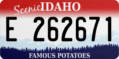ID license plate E262671
