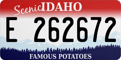 ID license plate E262672