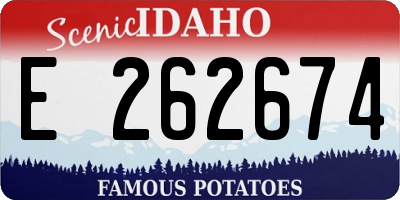 ID license plate E262674
