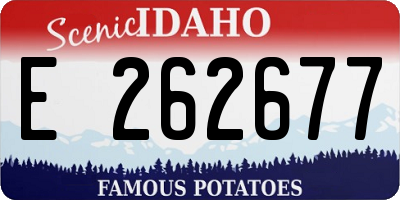 ID license plate E262677