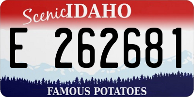 ID license plate E262681