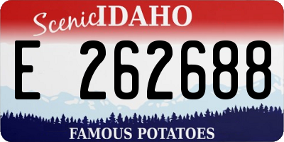 ID license plate E262688