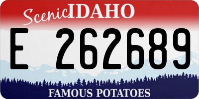 ID license plate E262689