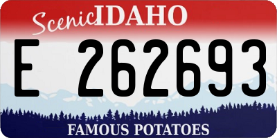 ID license plate E262693
