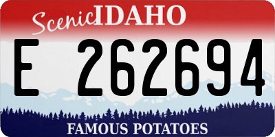ID license plate E262694