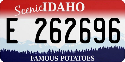 ID license plate E262696