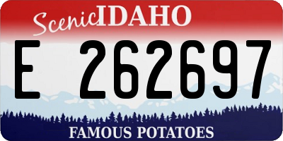 ID license plate E262697