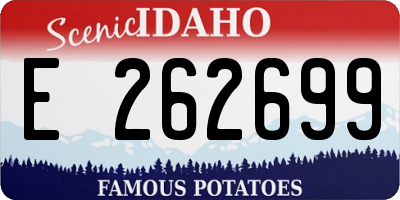 ID license plate E262699