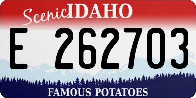 ID license plate E262703