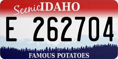 ID license plate E262704