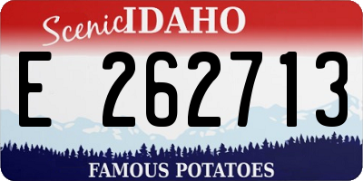 ID license plate E262713