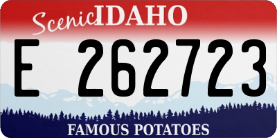ID license plate E262723