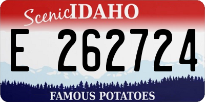 ID license plate E262724