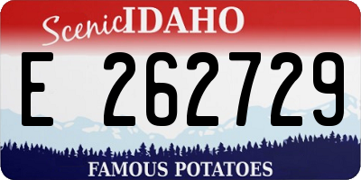 ID license plate E262729