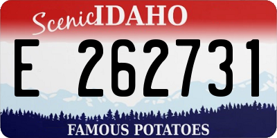 ID license plate E262731