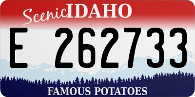ID license plate E262733