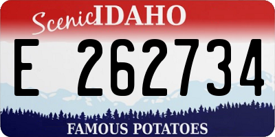 ID license plate E262734