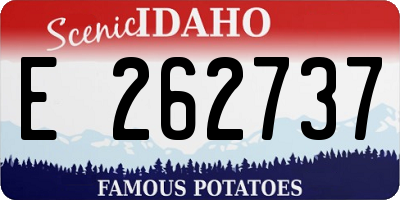 ID license plate E262737