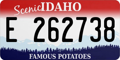 ID license plate E262738