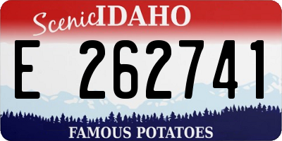 ID license plate E262741