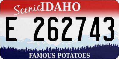 ID license plate E262743