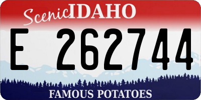 ID license plate E262744