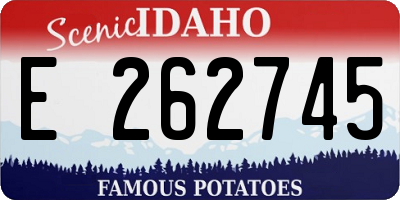 ID license plate E262745