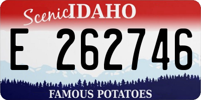 ID license plate E262746