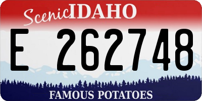 ID license plate E262748