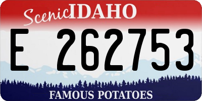 ID license plate E262753