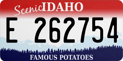 ID license plate E262754