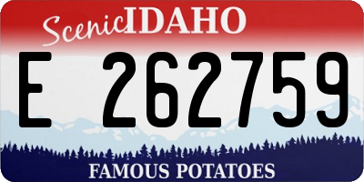 ID license plate E262759