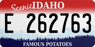 ID license plate E262763